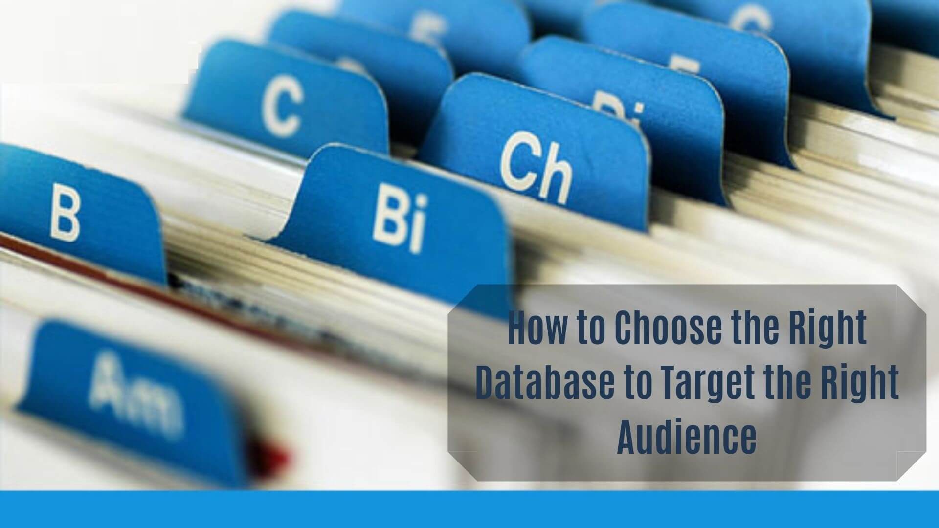 Choose the Right Corporate Business Database