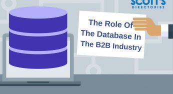 The Role Of The Database In The B2B Industry