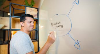 Leveraging the Power of Wholesaler Databases for Strategic Marketing Success
